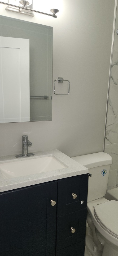 1023 East 45th Street, Unit 2 Chicago, IL 60653 - Photo 6 of 12 a bathroom with a granite countertop sink a toilet and a mirror
