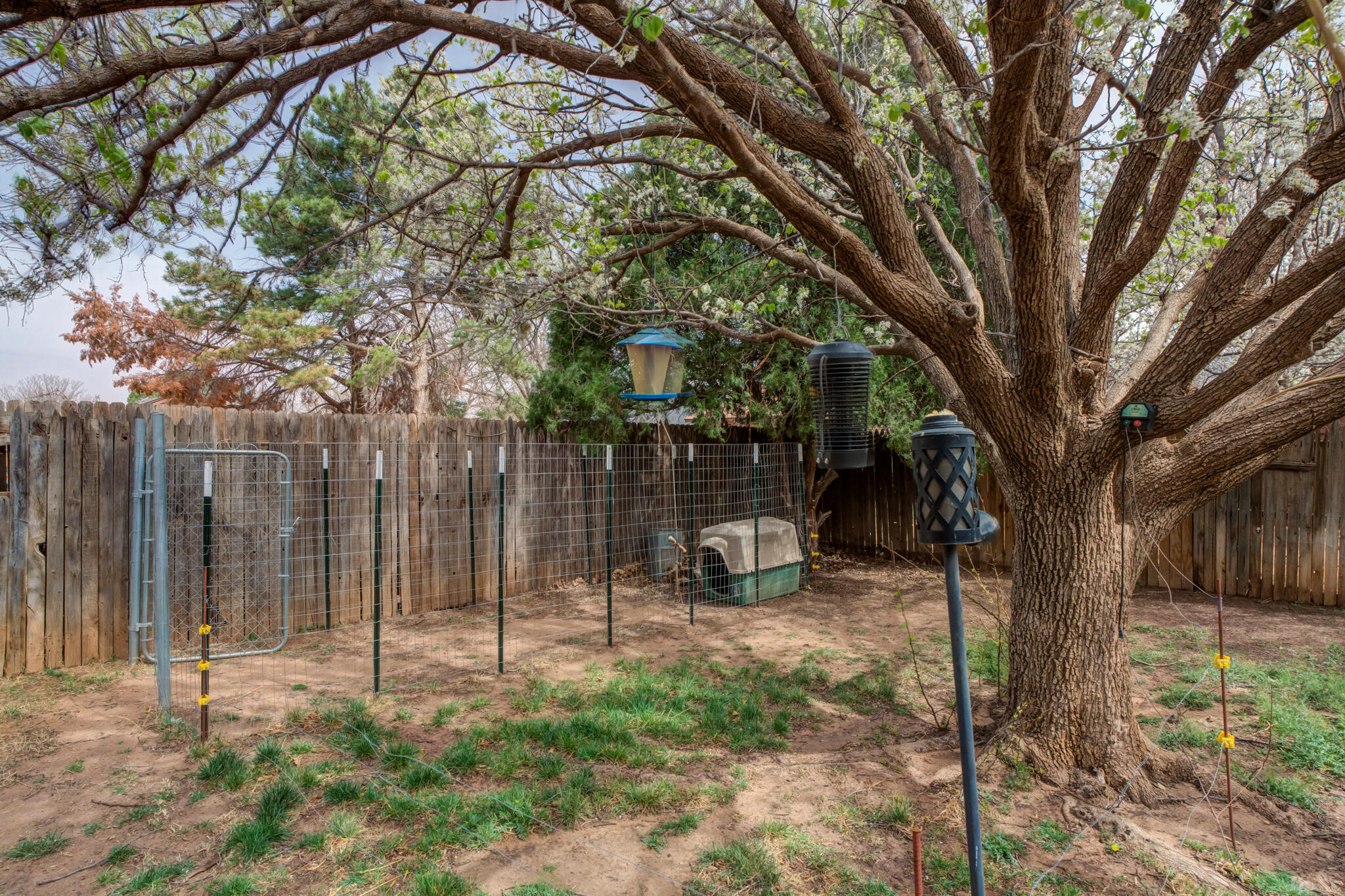 7805 Avenue V Lubbock, TX 79423 - Photo 35 of 37 DSC00548_49_50