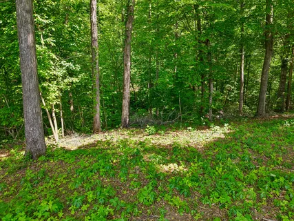 $650,000 | 0 Casparis Road, Franklin, TN 37064