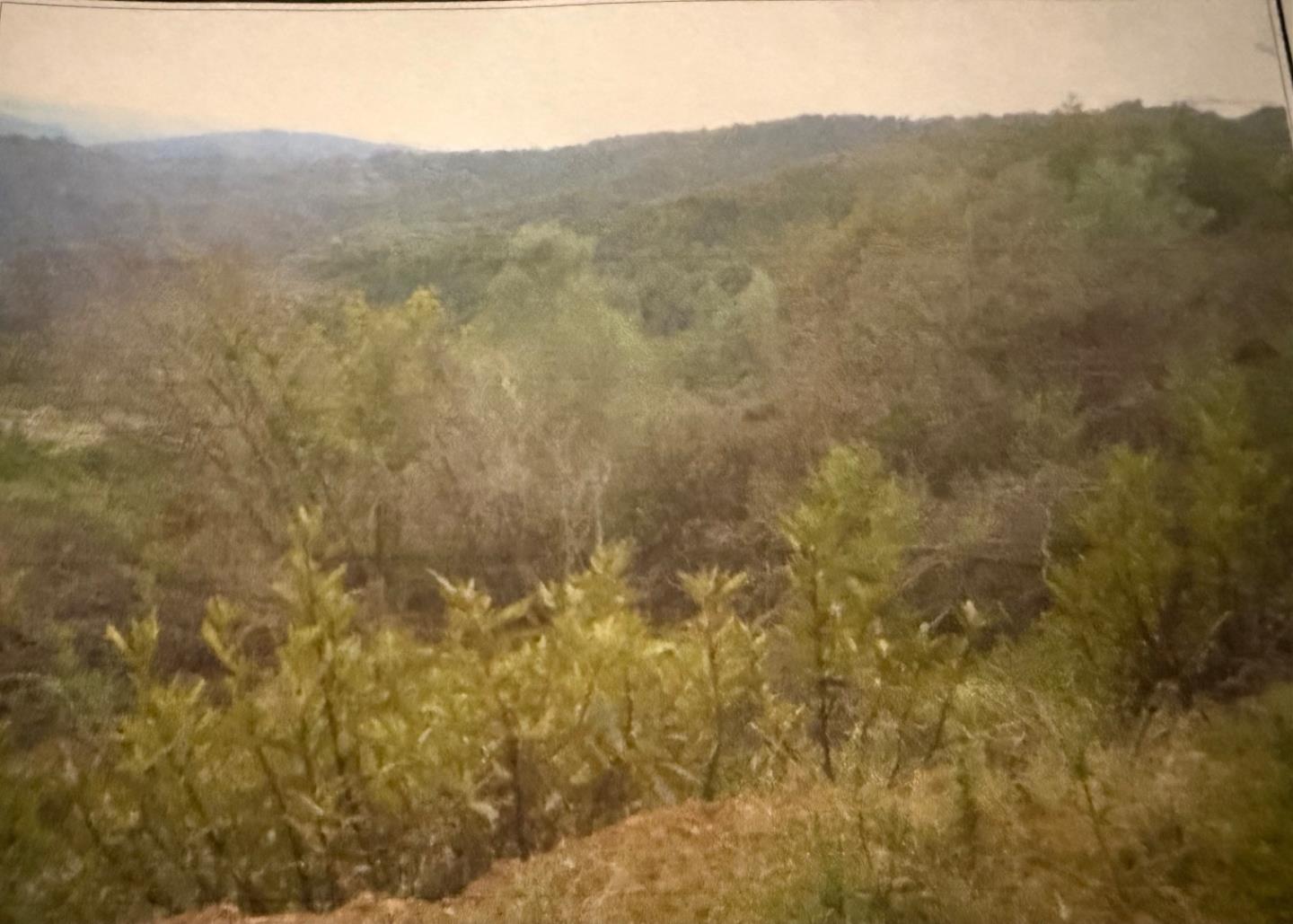 a view of a dry yard