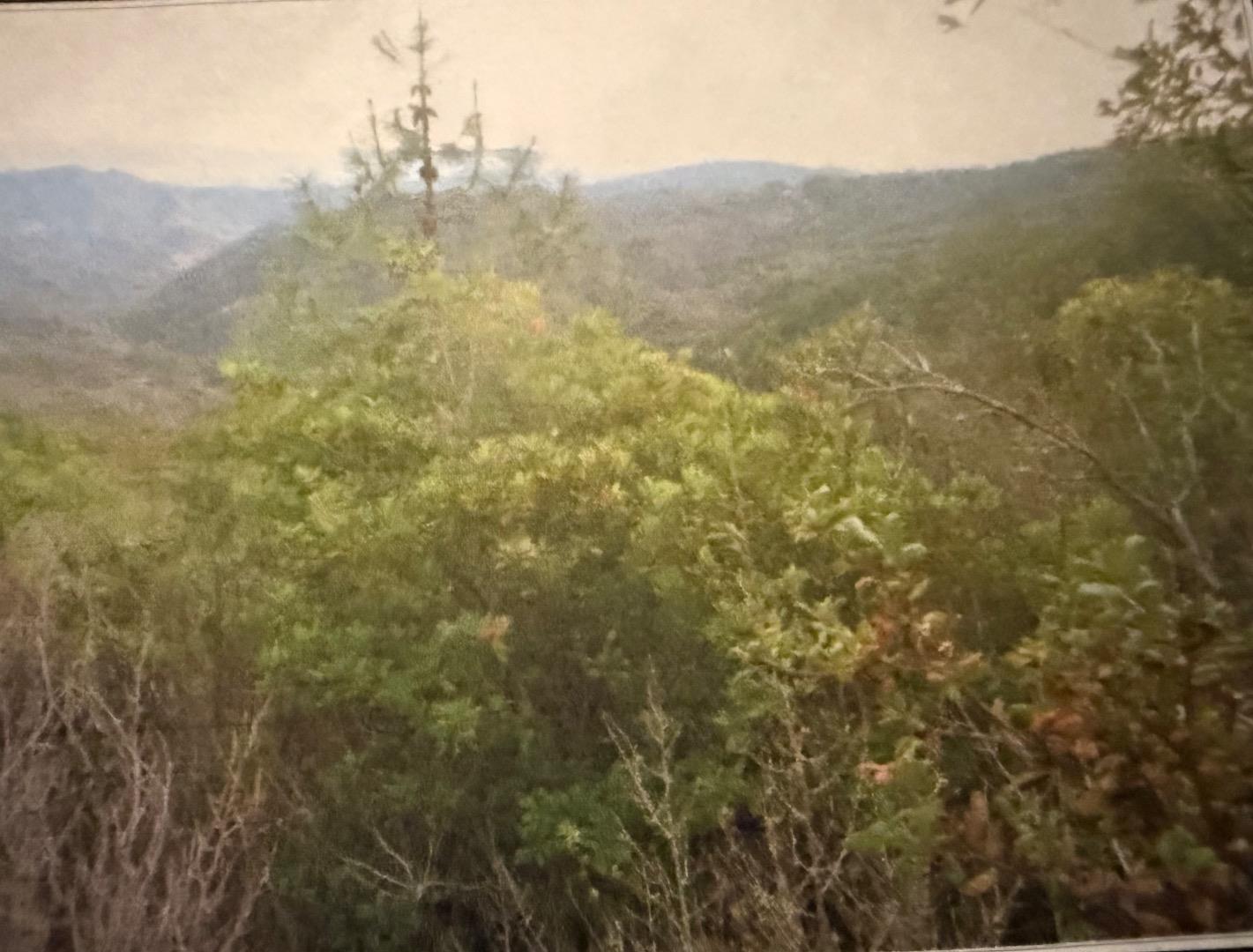 0 Croy Ridge Road Watsonville, CA 95076 - Photo 4 of 7 a view of a field