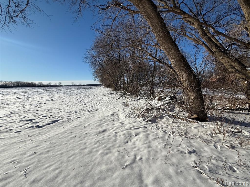 0 Miller Road Capac, MI 48014 - Photo 3 of 5