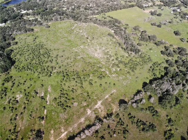 a view of a yard with a plant