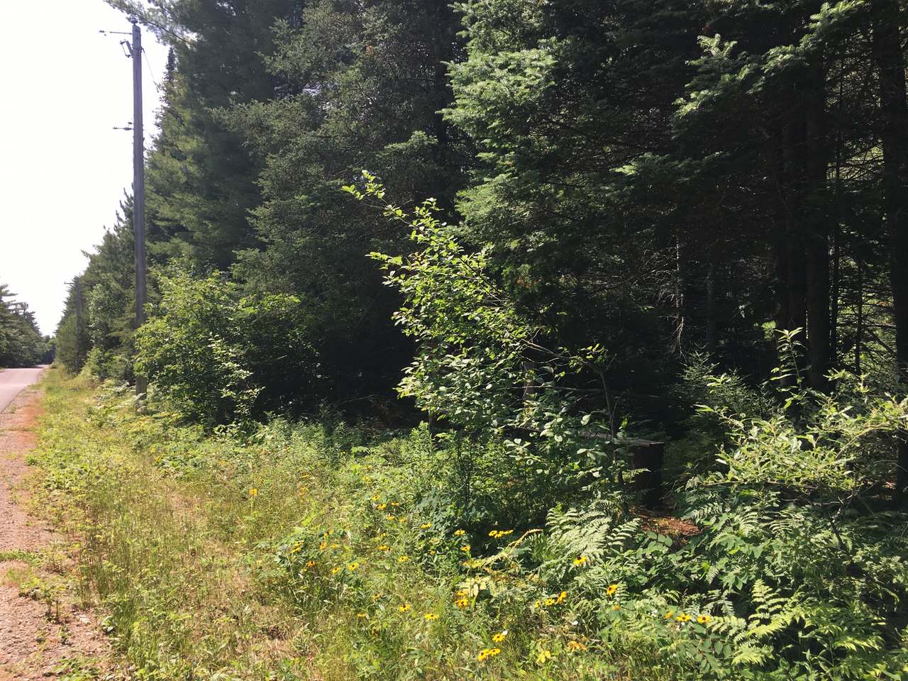 Lot 9 Old 26 Road Conover, WI 54519 - Photo 11 of 19 Gallery Image 11