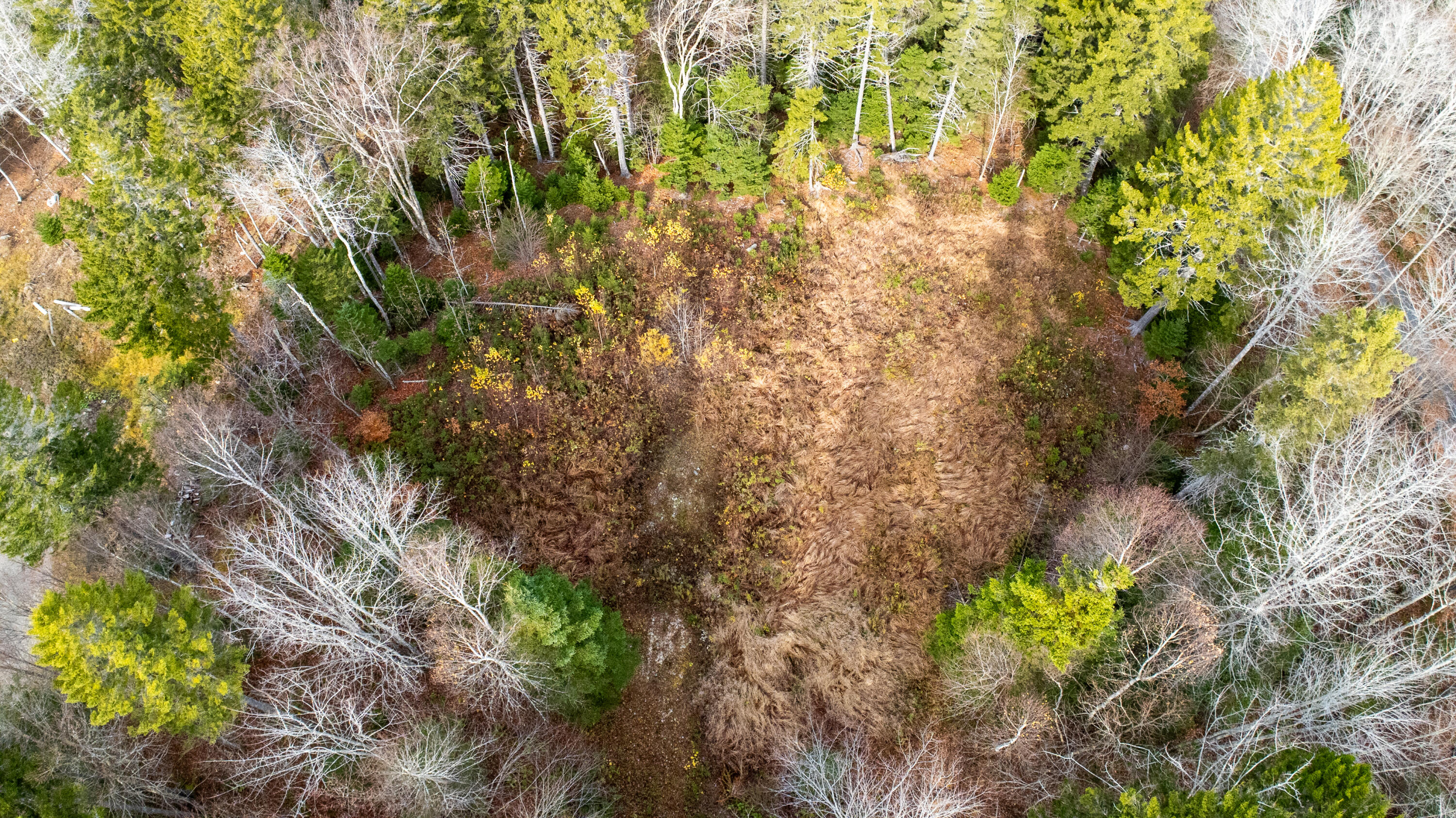 Lot 8 Sunset Way Whiting, ME 04691 - Photo 8 of 14 LOT 8 SUNSET-22