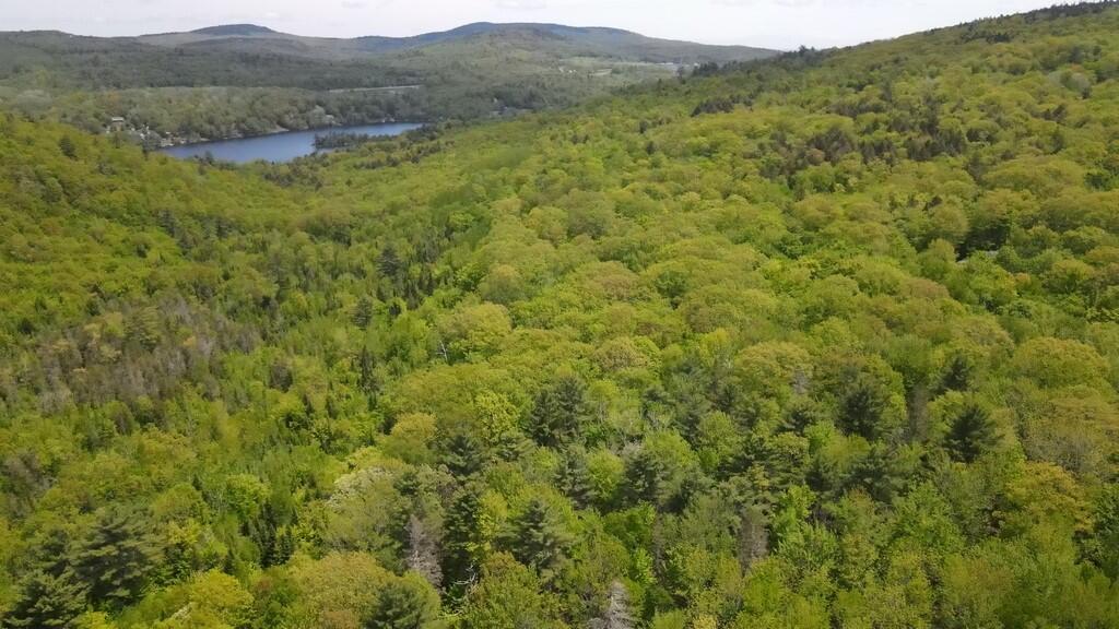60 Murray Road Dedham, ME 04429 - Photo 71 of 99 Photo_1080296051_DJI_627_jpg_4824543_0_2