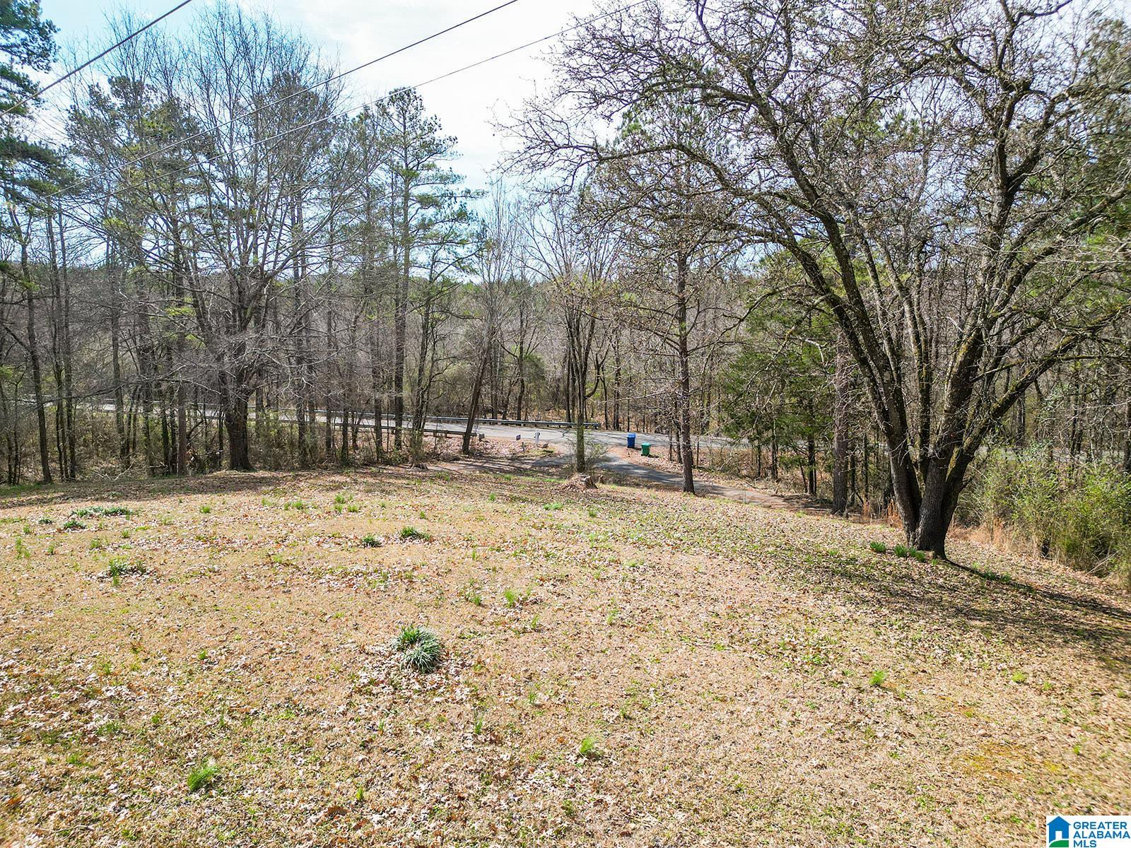 2126 Cedar Springs Road Jacksonville, AL 36265 - Photo 36 of 44
