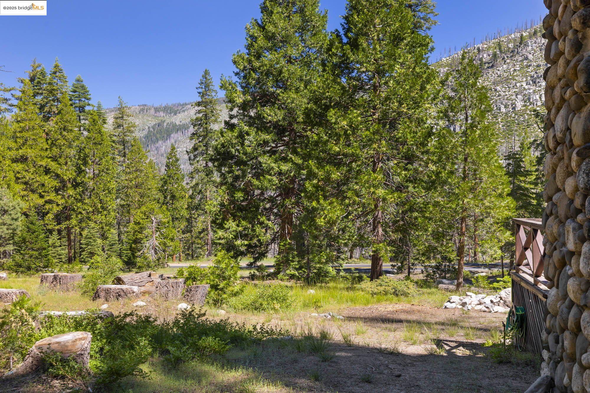 7 Riverside Tract Kyburz, CA 95720 - Photo 20 of 36