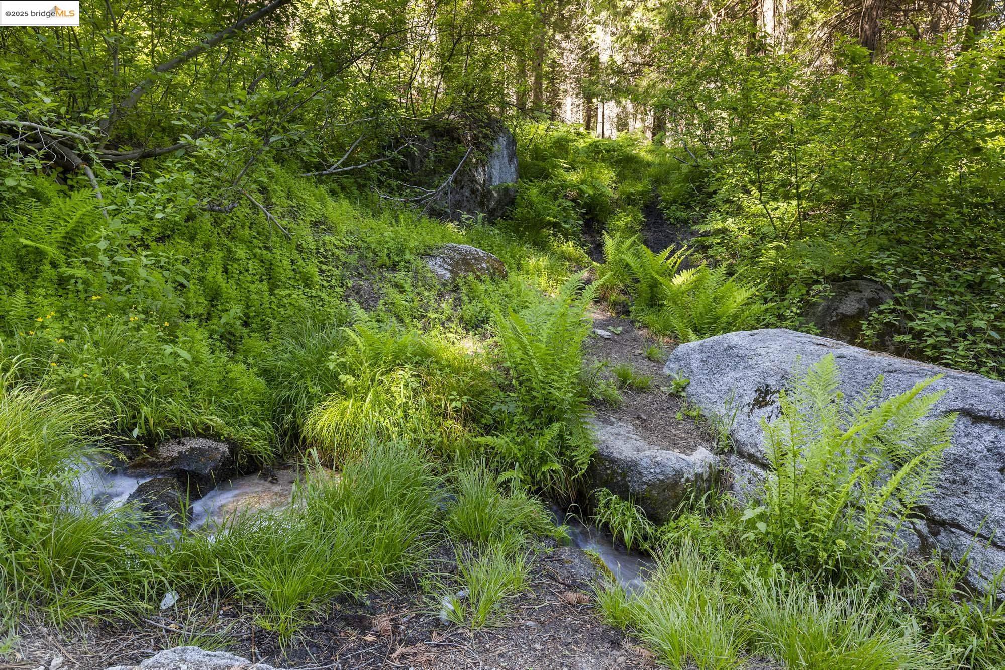 7 Riverside Tract Kyburz, CA 95720 - Photo 28 of 36 a backyard of a house with outdoor seating and green space