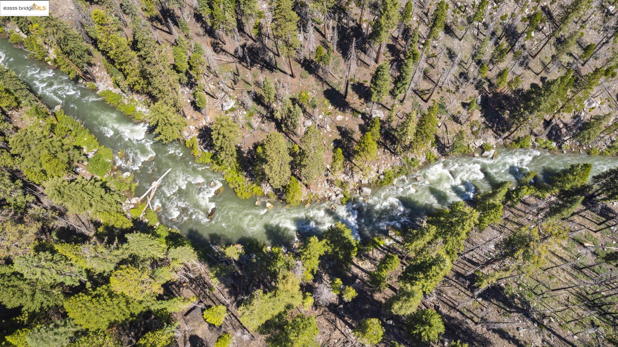 7 Riverside Tract Kyburz, CA 95720 - Photo 31 of 36 a view of a tree