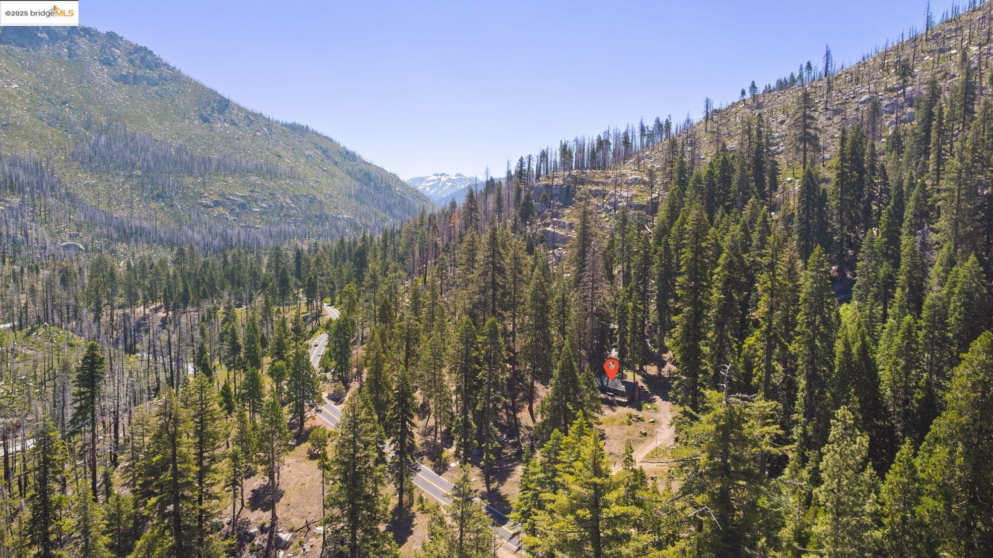 7 Riverside Tract Kyburz, CA 95720 - Photo 32 of 36 a view of a lot of trees and bushes