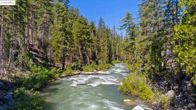 a view of a dry yard with mountains in the background