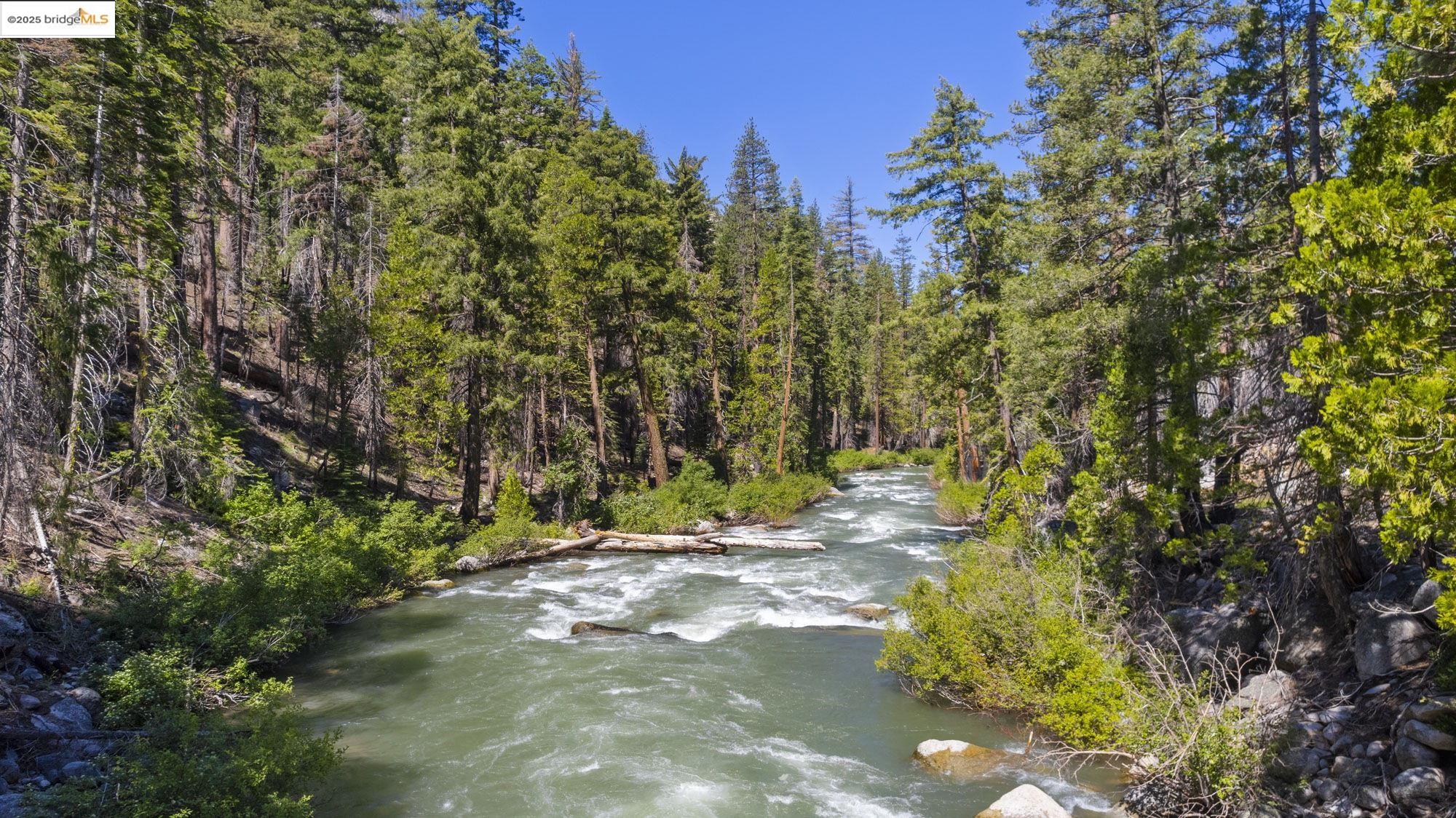 7 Riverside Tract Kyburz, CA 95720 - Photo 35 of 36 a view of road and trees