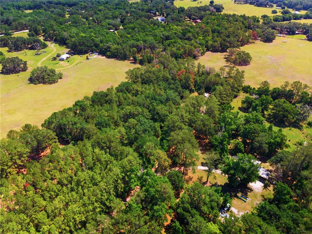 1074 Culbreath Road Brooksville, FL 34602 - Photo 11 of 20 a view of a lake with a tree