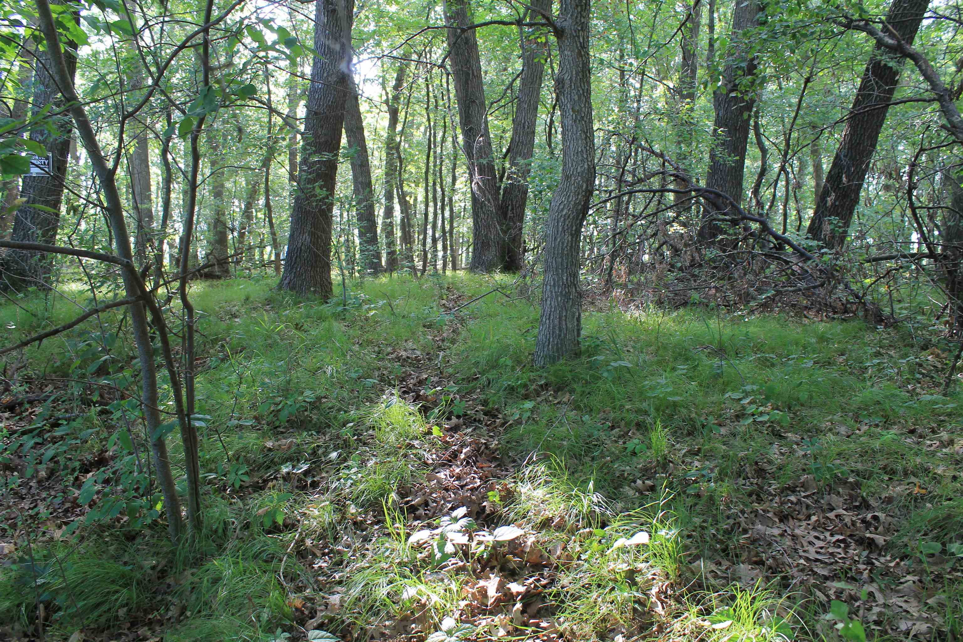 34th Road Berlin, WI 54923 - Photo 12 of 27 Gallery Image 12
