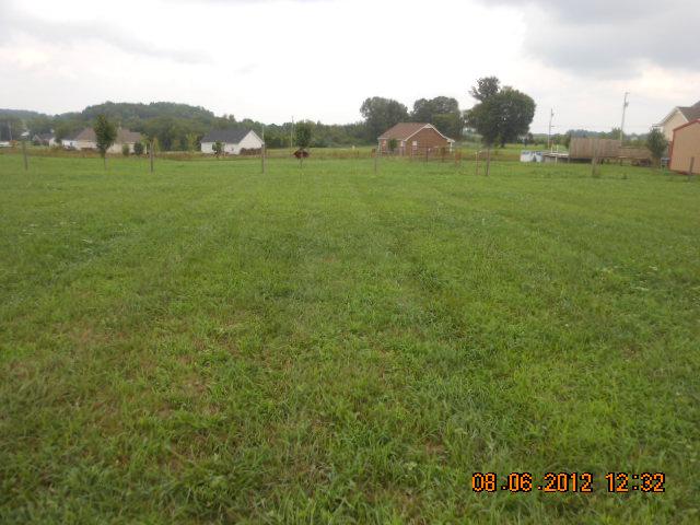 218 Old Martin Chapel Road Portland, TN 37148 - Photo 3 of 11 a view of a lush green field