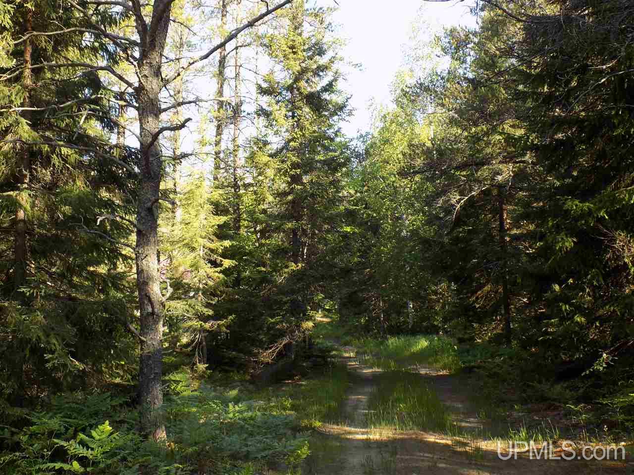 2207 West Co Road Seney, MI 49883 - Photo 5 of 32