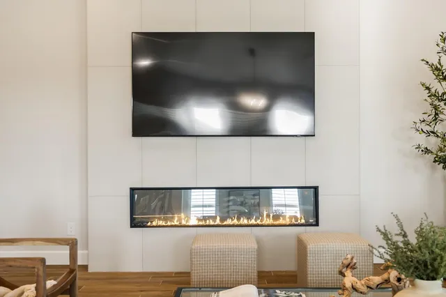 a living room with furniture and a potted plant