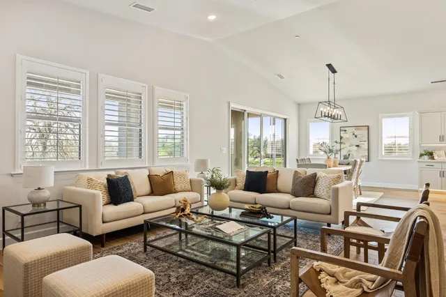 a view of a potted plant on a counter