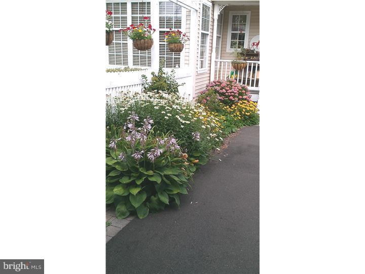 39 Valentine Road Ivyland, PA 18974 - Photo 22 of 25 Back Yard