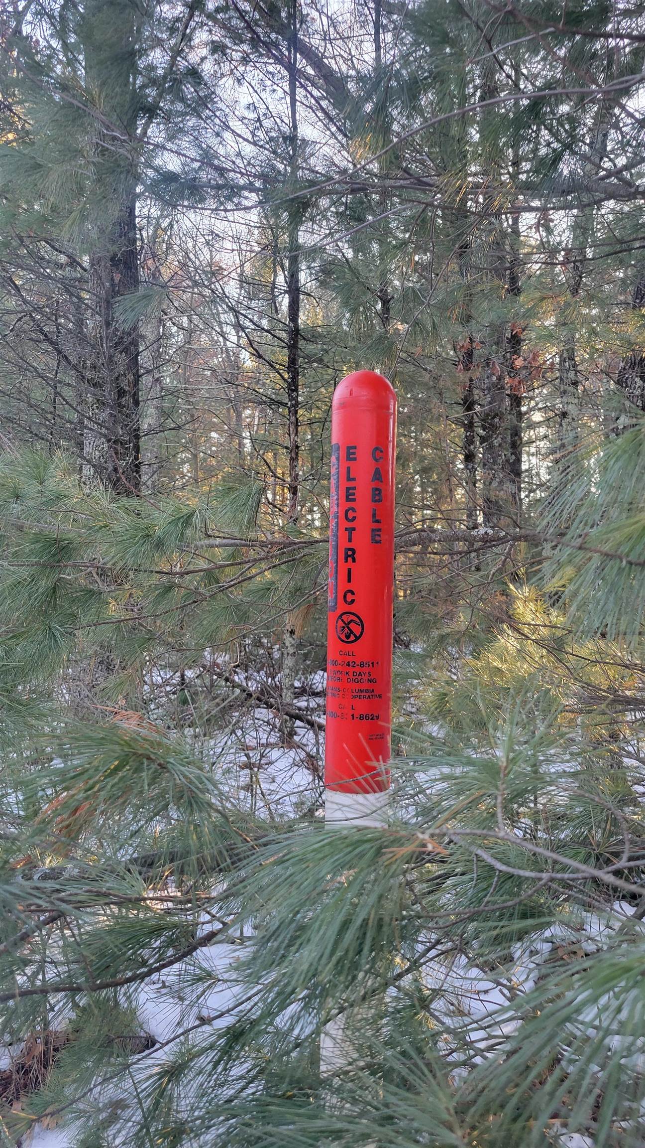 Lot 16 19th Arkdale, WI 54613 - Photo 3 of 16