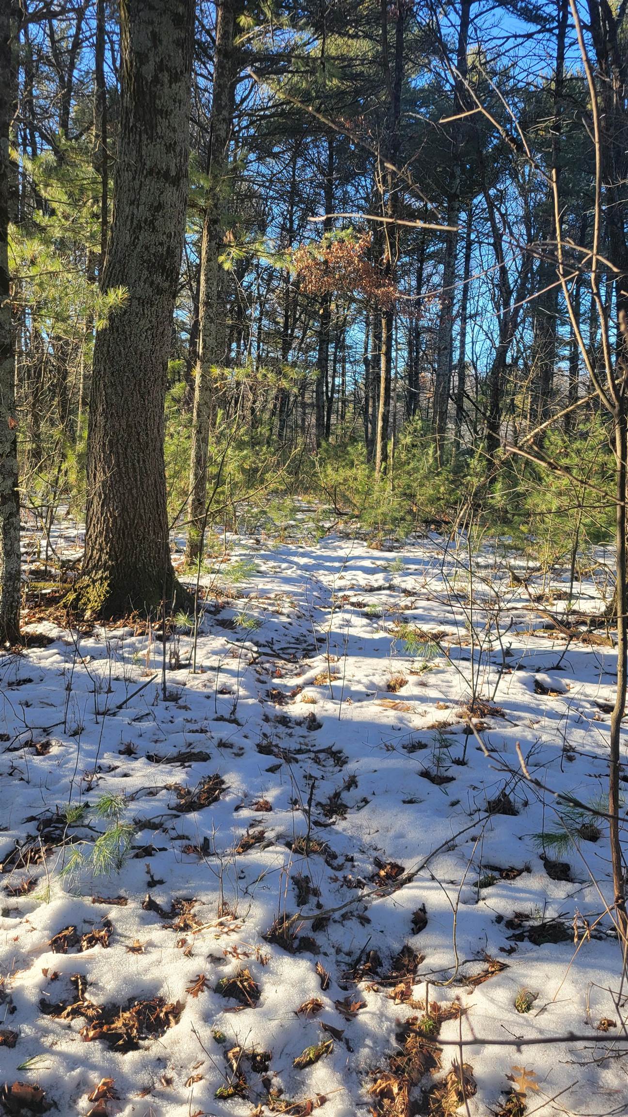 Lot 16 19th Arkdale, WI 54613 - Photo 6 of 16