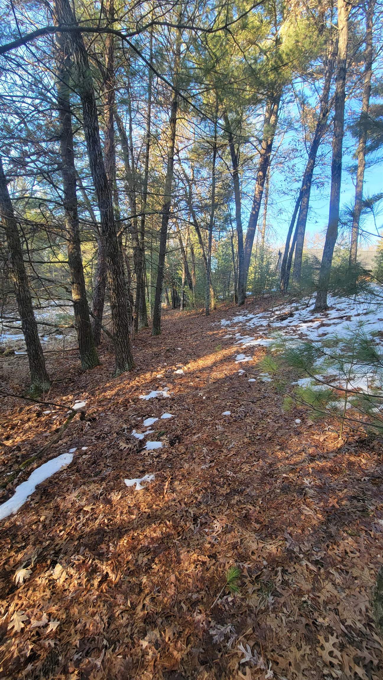 Lot 16 19th Arkdale, WI 54613 - Photo 10 of 16