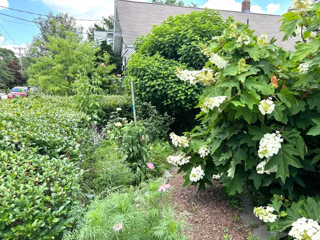 a view of a garden with plants and flowers