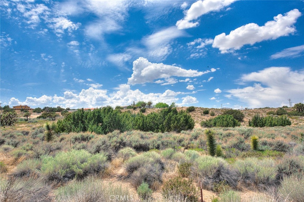 0 Verbena Road Oak Hills, CA 92344 - Photo 14 of 17 a view of a big yard