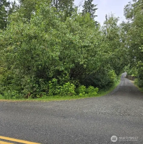 a view of a yard with a tree