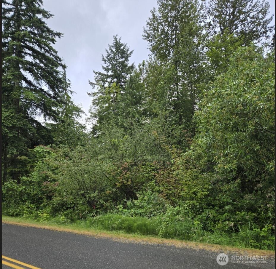 15600 Southeast 234th Street Kent, WA 98042 - Photo 6 of 13 a view of a forest that has a tree