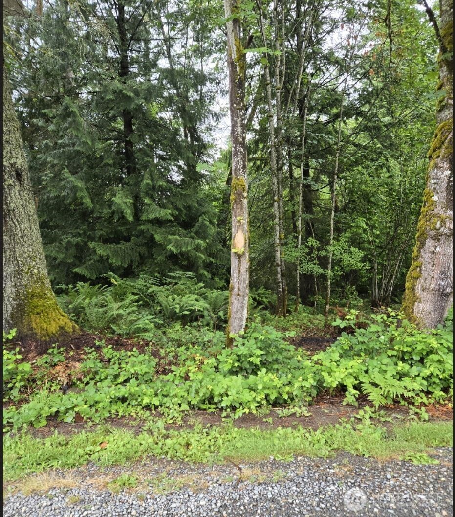 15600 Southeast 234th Street Kent, WA 98042 - Photo 8 of 13