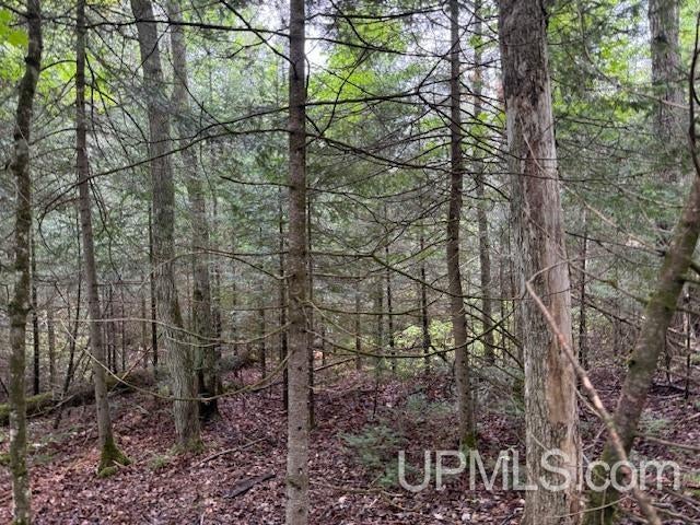 T-wi Loon Lake Road Florence, WI 54121 - Photo 6 of 27 Gallery Image 6