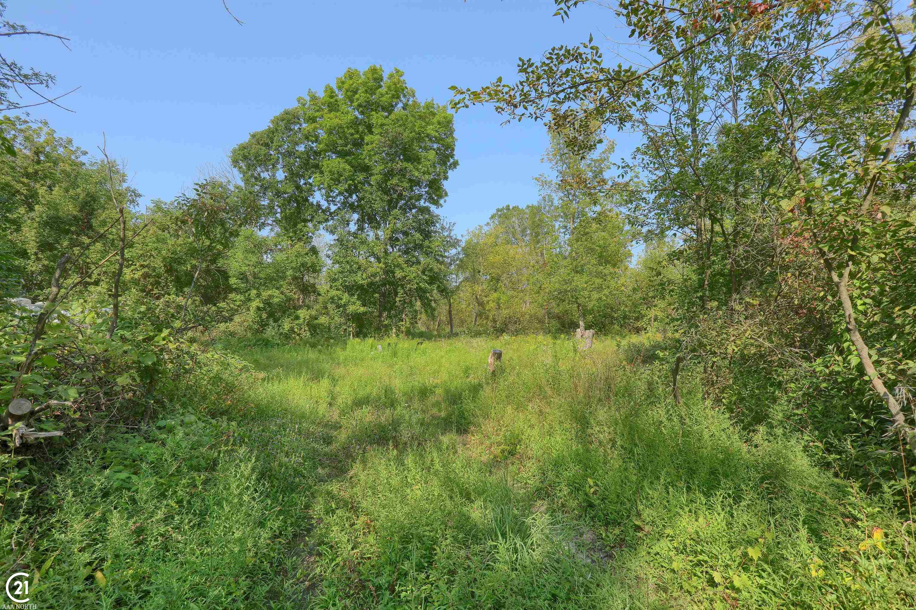 471-475 North Youngs Road Attica, MI 48412 - Photo 9 of 44 Gallery Image 9
