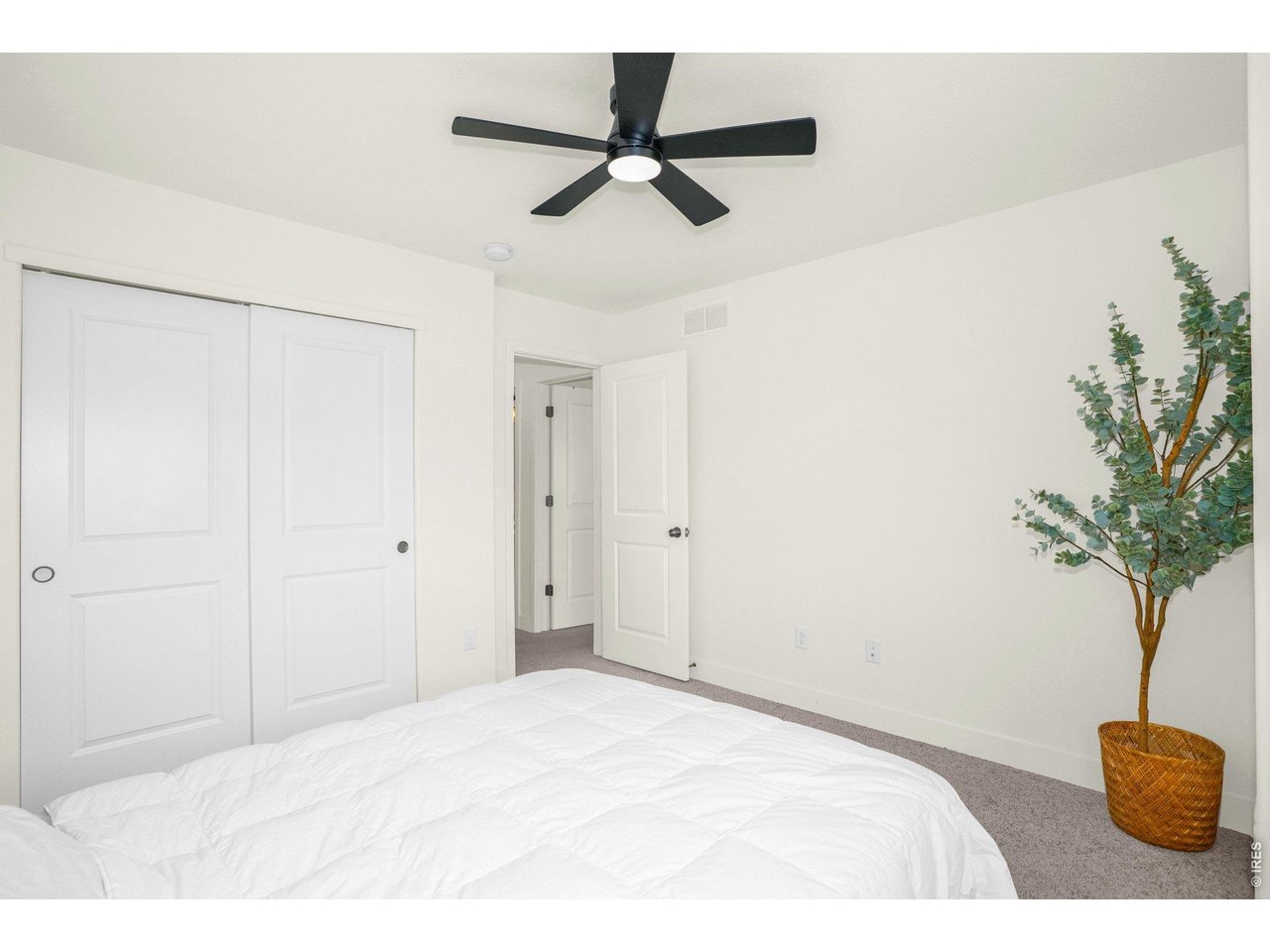 934 Milner Pass Road Severance, CO 80550 - Photo 17 of 33