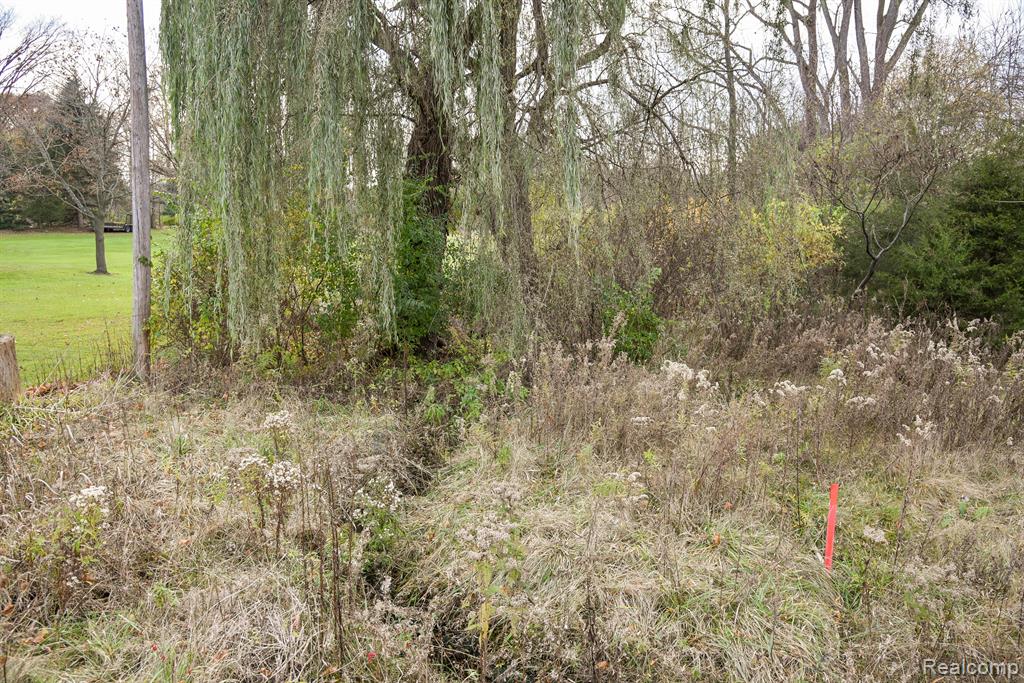 0 North McKinley Road Flushing, MI 48433 - Photo 7 of 10