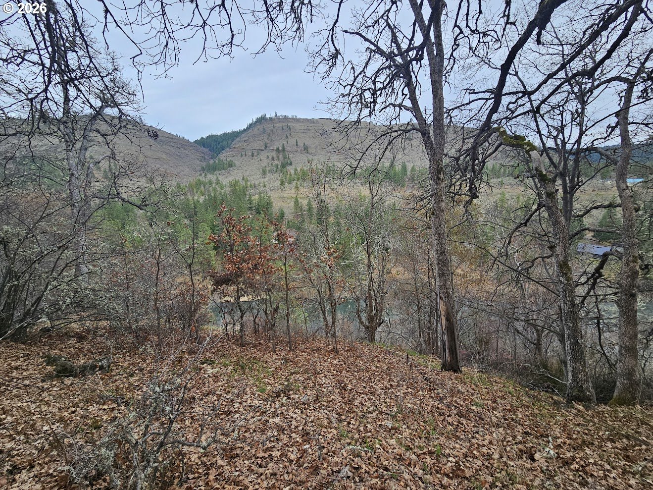 Wahkiacus Heights Road Klickitat, WA 98670 - Photo 25 of 42