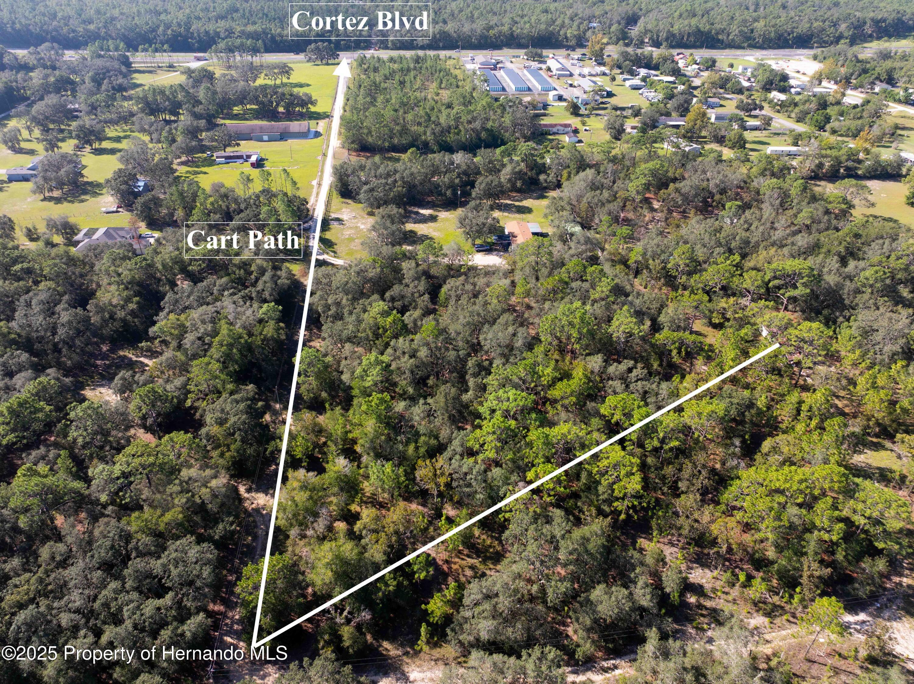 0 Cart Path Brooksville, FL 34602 - Photo 6 of 12
