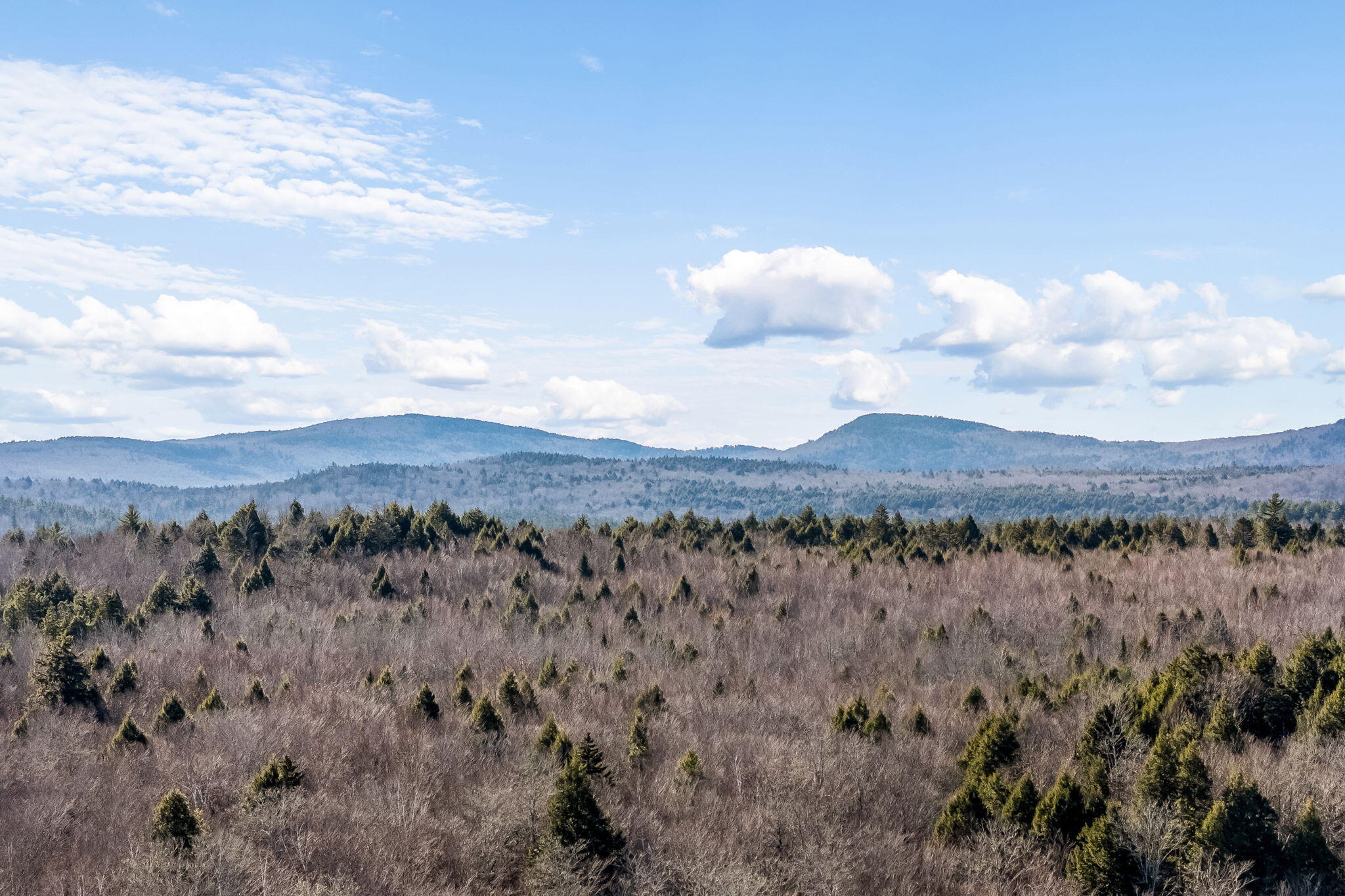 476 Springy Pond Road Eddington, ME 04428 - Photo 9 of 50
