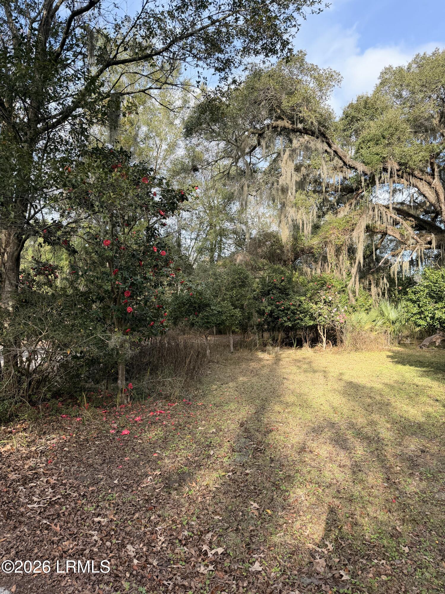 1007 May River Road Bluffton, SC 29910 - Photo 8 of 10 IMG_2733 Tarver
