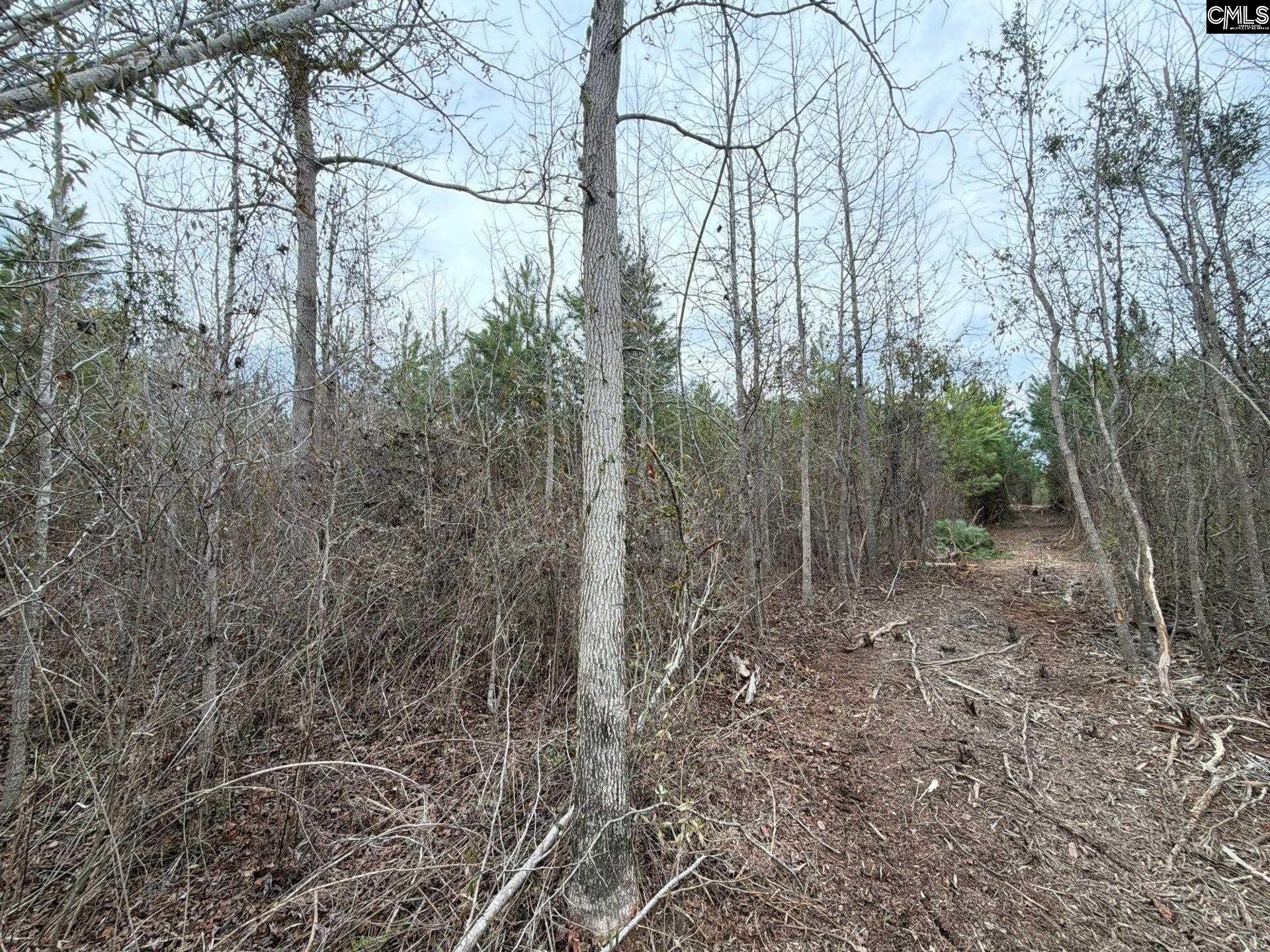 4 Jc Barefoot Road, Unit BFF II 4 Patrick, SC 29584 - Photo 20 of 32
