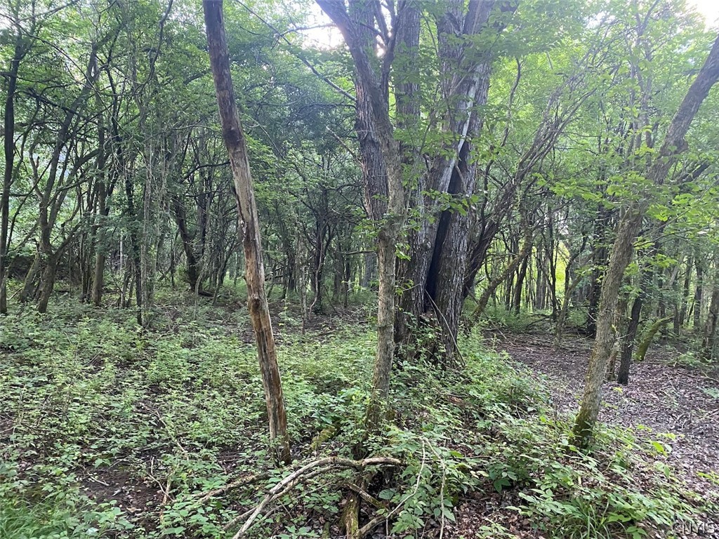 9568 Dinder Road Birdsall, NY 14822 - Photo 23 of 30