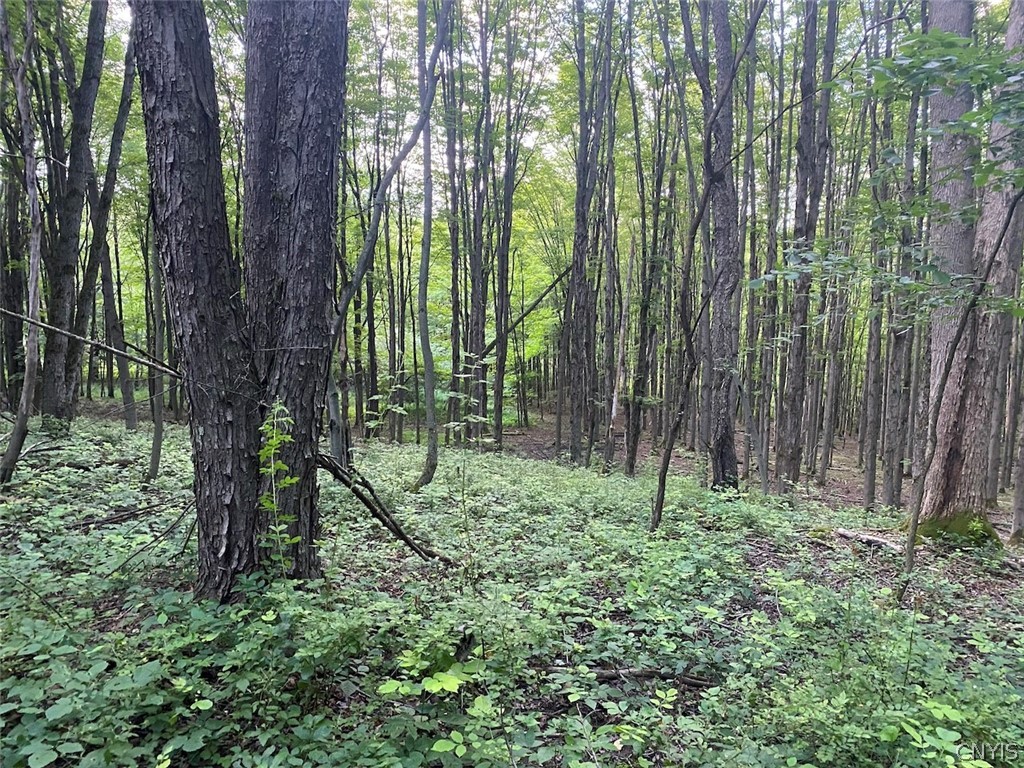 9568 Dinder Road Birdsall, NY 14822 - Photo 24 of 30