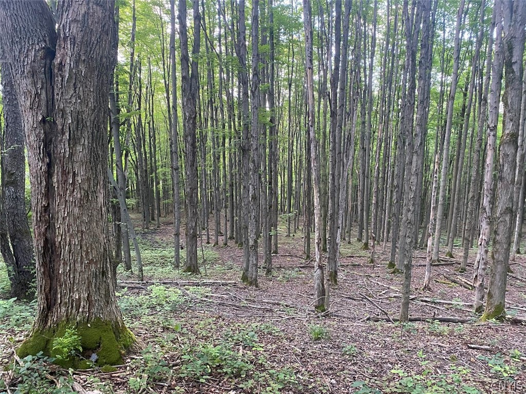 9568 Dinder Road Birdsall, NY 14822 - Photo 25 of 30