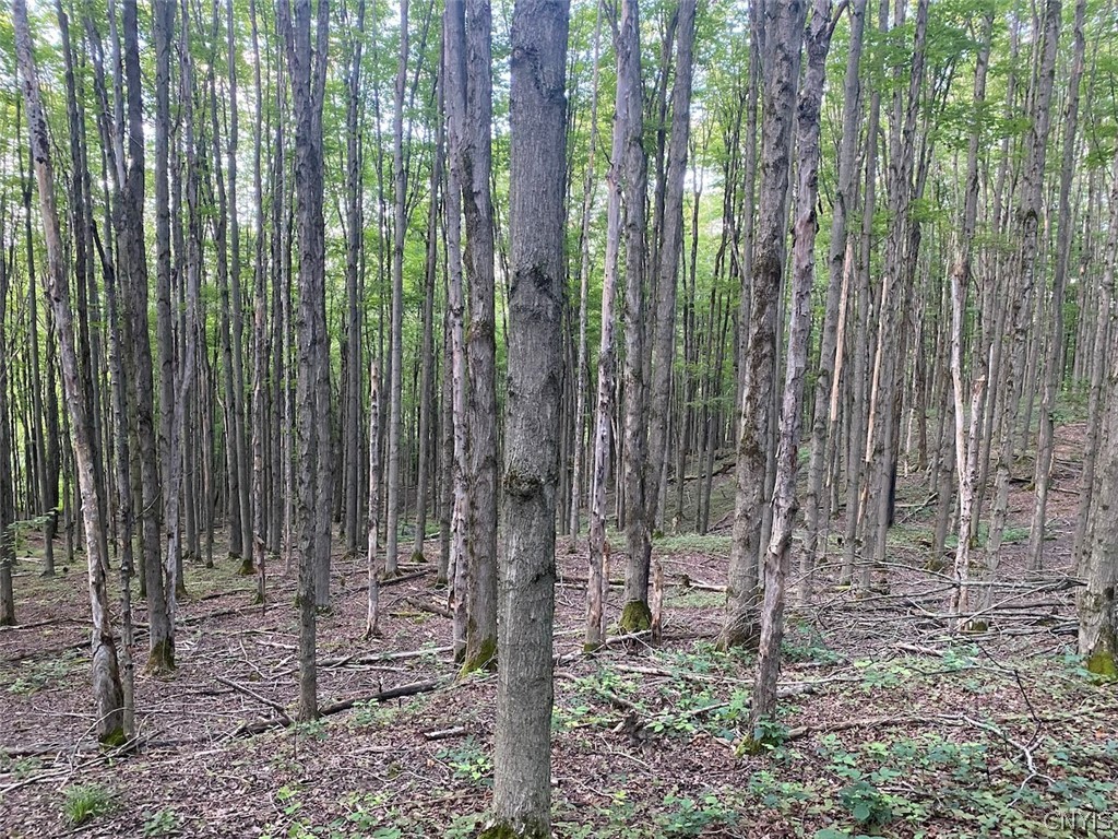 9568 Dinder Road Birdsall, NY 14822 - Photo 26 of 30