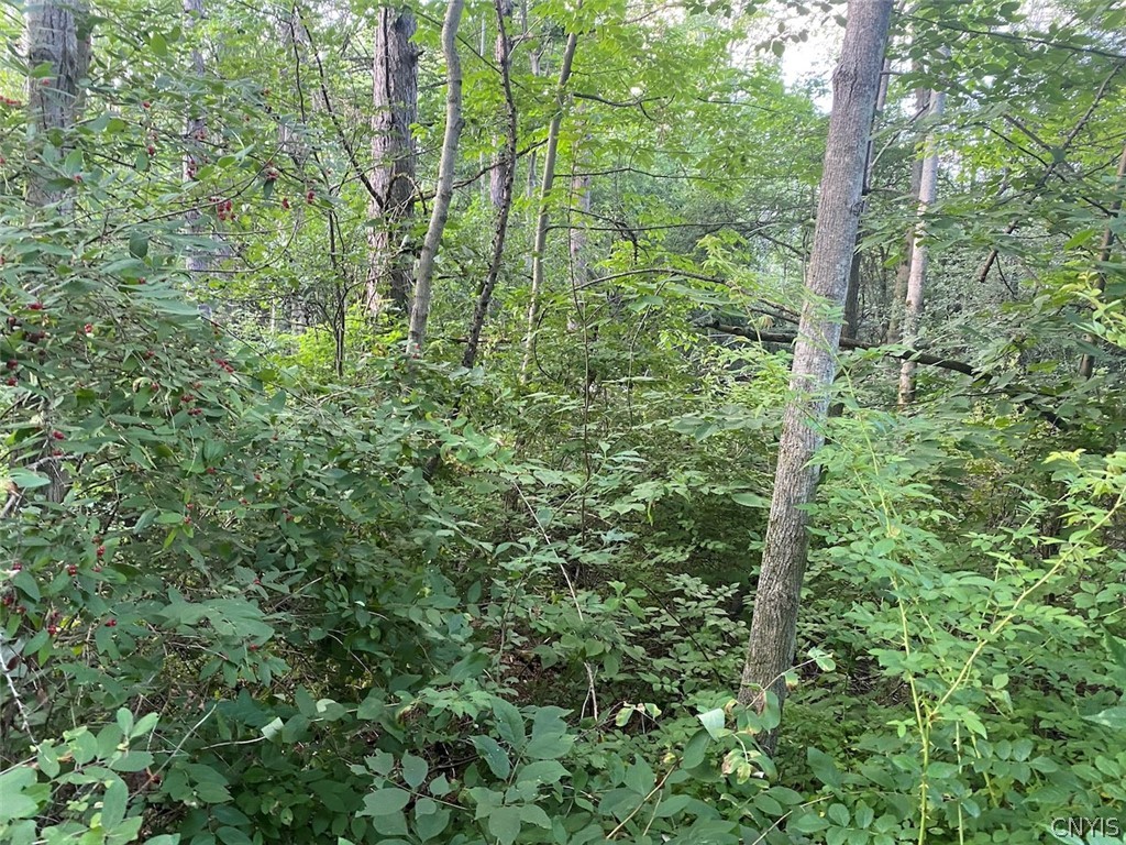 9568 Dinder Road Birdsall, NY 14822 - Photo 27 of 30