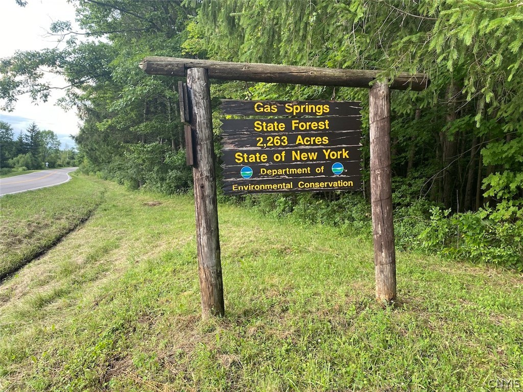 9568 Dinder Road Birdsall, NY 14822 - Photo 29 of 30