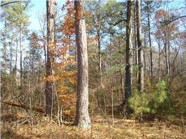 0 Post Oak Road, Unit 3 Ringgold, GA 30736 - Photo 1 of 10 Primary Photo
