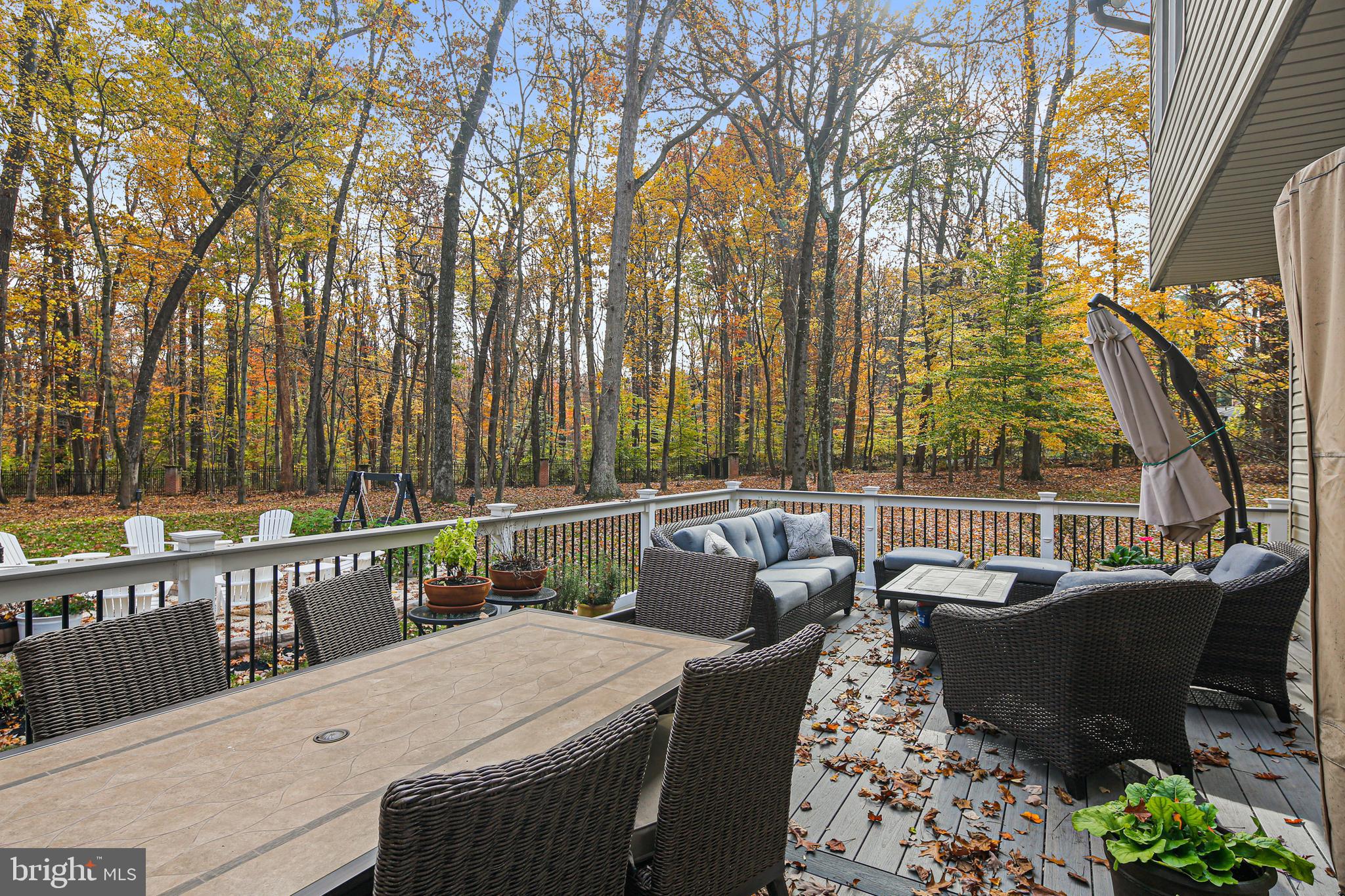 2711 Caves Road Owings Mills, MD 21117 - Photo 17 of 49 New Trex Deck