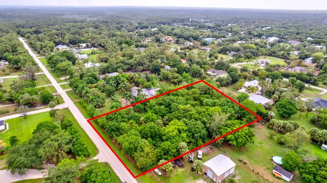 an aerial view of green landscape with trees houses and mountain view